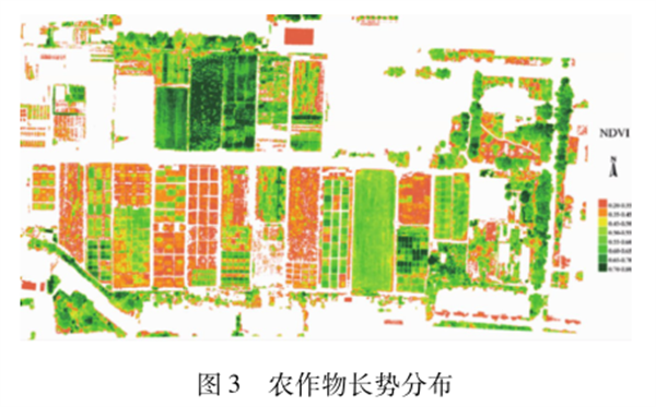 圖3 農(nóng)作物長勢分布