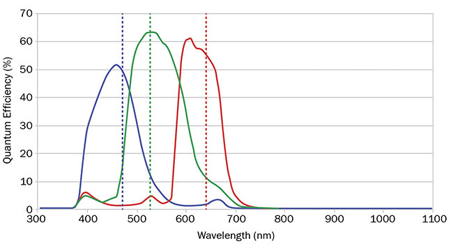 圖 3. RGB 相機的量子效率曲線顯示了紅色、綠色和藍(lán)色之間的重疊。 由愛特蒙特光學(xué)公司提供。