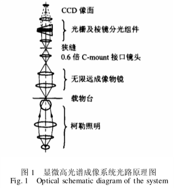 顯微高光譜成像系統(tǒng)原理圖