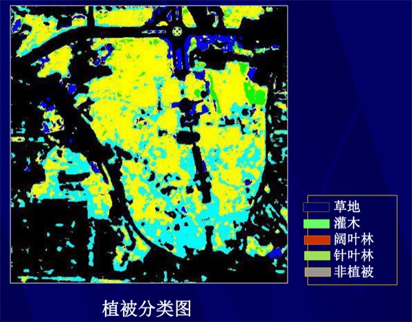 2. 植被分類(lèi)圖