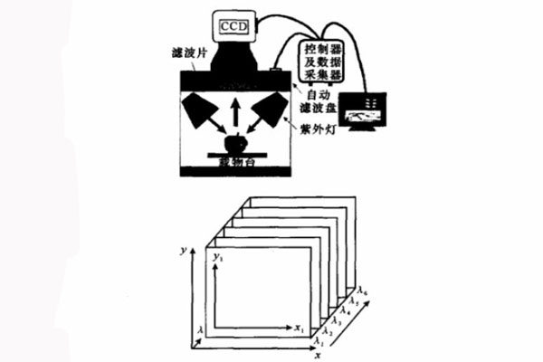 基于濾光片的高光譜圖像獲取系統(tǒng)及三維圖像塊示意圖