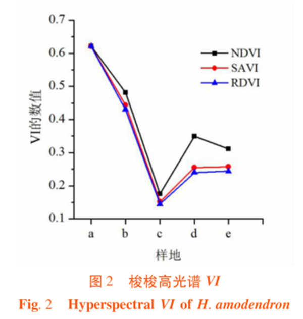 高光譜遙感在荒漠林植被指數(shù)（VI）比較中的應(yīng)2