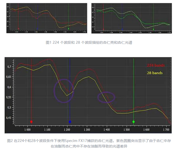 高光譜相機(jī)和多光譜相機(jī)有什么區(qū)別3