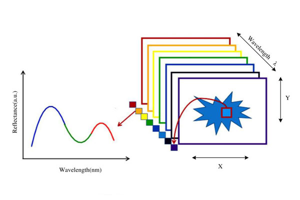 高光譜數(shù)據(jù)
