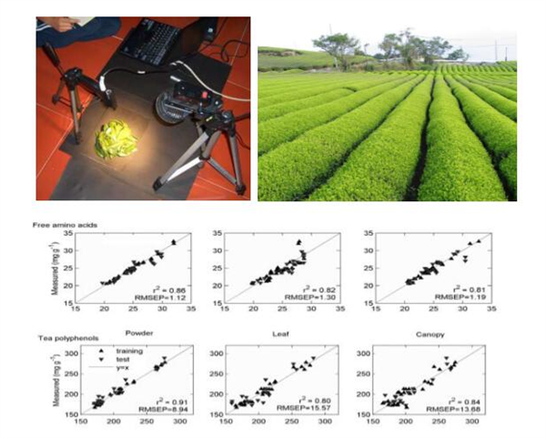 近紅外光譜技術(shù)在茶葉上的應(yīng)用現(xiàn)狀