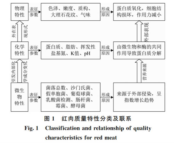 紅肉質(zhì)量高光譜無損檢測研究