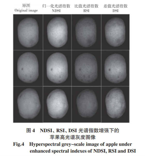 基于高光譜成像的蘋果損傷檢測方法4